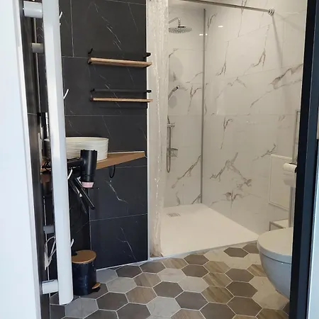 Adapte Pmr 4 Personnes Gervais Les Bains *